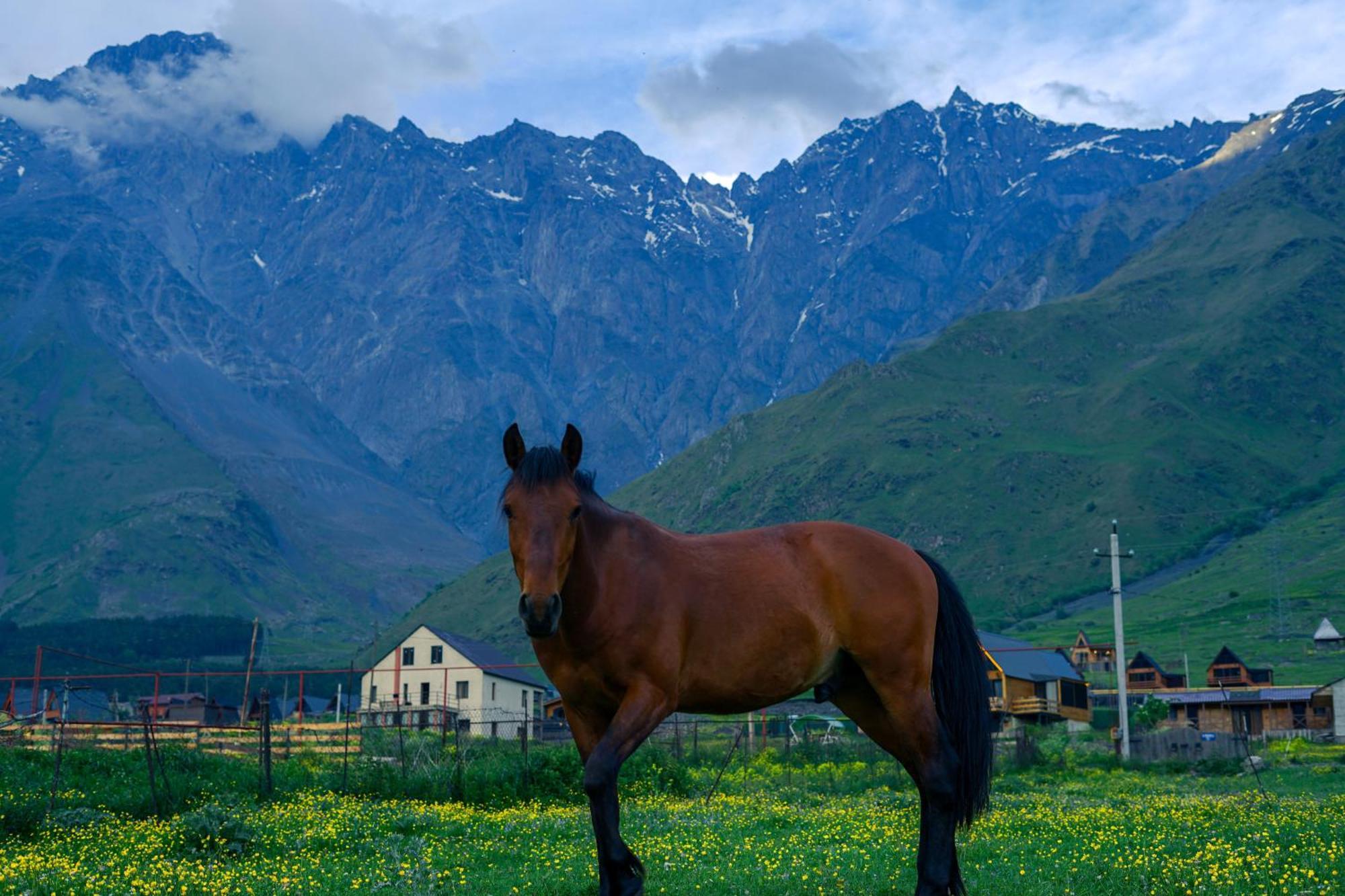 Savalley Kazbegi Exteriér fotografie